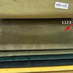 Sona 1123
